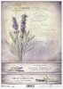 lawenda, lawendy, lawendowe, kwiat, ogród, łąka, wiosna, lato, z lawendą, francuskie faktury, R982, lavender, flower, garden, meadow, spring, summer, Lavendel, Blume, Garten, Wiese, Frühling, Sommer, lavanda, flor, jardín, prado, primavera, verano